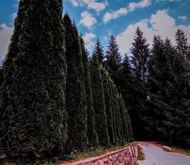 Pietroasa Casa | Poiana - Apuseni Mountains