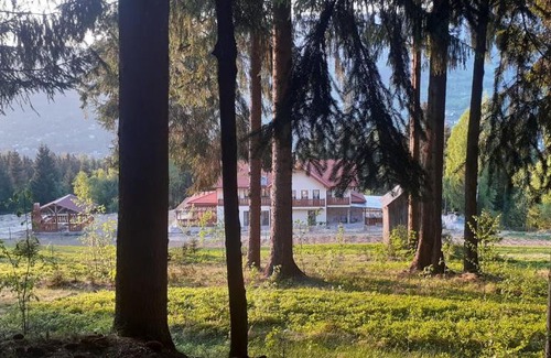Borsa Casa | Poiana Brazilor