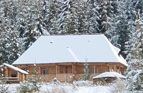 Neagra Sarului Cabina | Poiana cu Sinziene