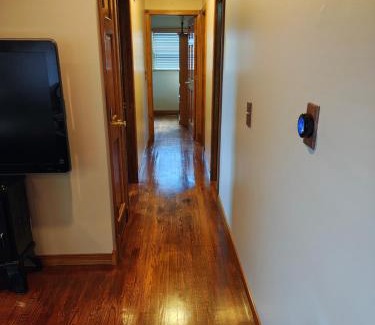 South Point Casa | Pointer Palace