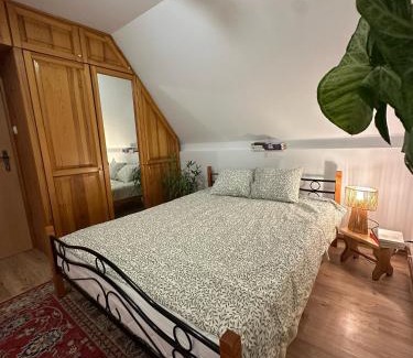 Bielsk Podlaski Casa | Pokój Cień Paproci