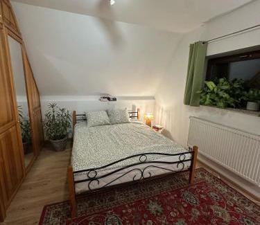 Bielsk Podlaski Casa | Pokój Cień Paproci