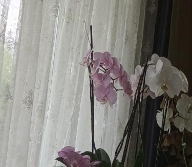 Ilawa Casa | Pokój gościnny w willi