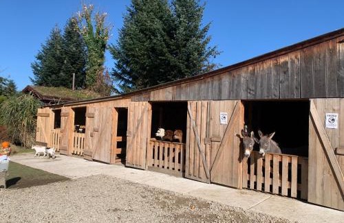 Jurgow Casa | Pokoje Gościnne Jurgowianka