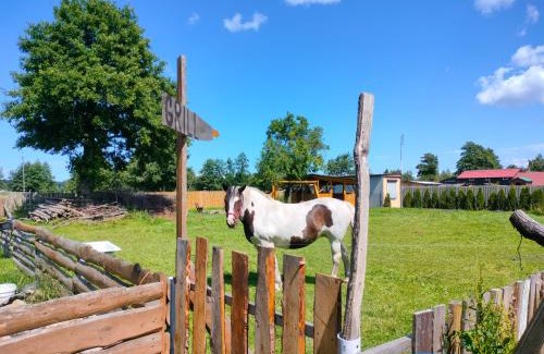 Krokowa Casa | Pokoje Gościnne Danusia