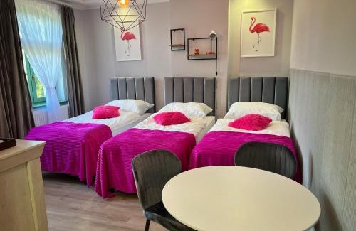 Boguszow-Gorce Apartamento | Pokoje Pod Mniszkiem