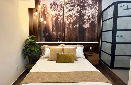Polanco Cabina | Polanco. Beautiful room at the best part of Mexico City