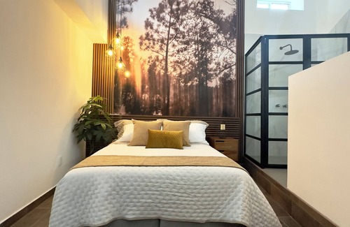 Polanco Cabina | Polanco. Beautiful room at the best part of Mexico City