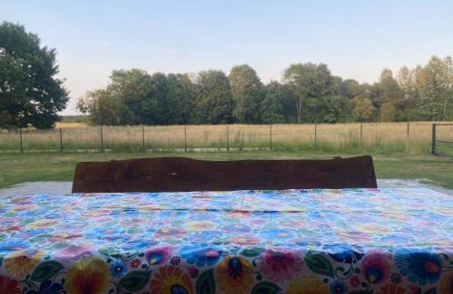gmina Stary Brus Casa | Poleskie zacisze, domek czapla na wyłączność, kominek, balia,sauna