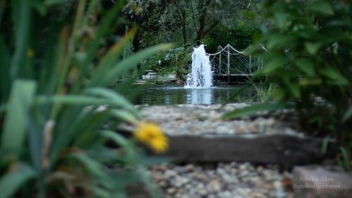 Csolnok Cama Y Desayuno | Pollushof Panzió és Étterem