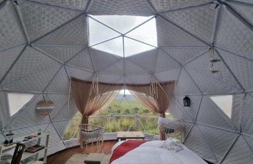 Caledon Otro | Pom Gratz - EcoDomes