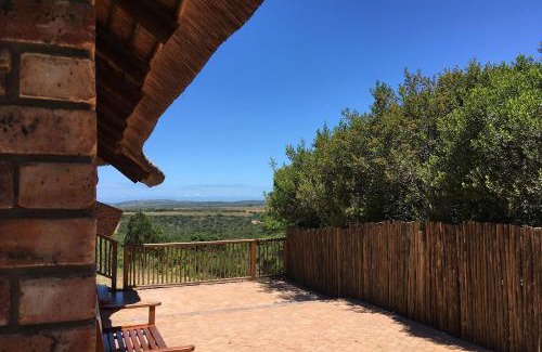 Seafield Cabina | Pomeroy Lodges