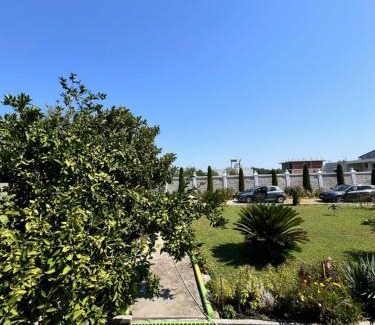 Qerek Apartamento | Ponari apartments