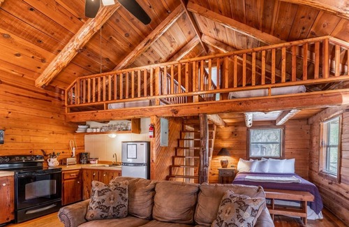 Ponca Condominio | Ponca Cabin 4 - Cozy Cabin in the Heart of Ponca