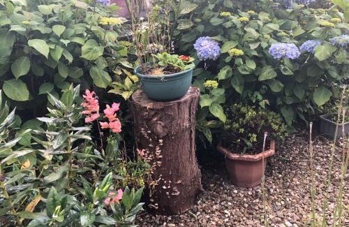 Lisburn Casa | PondeROSEa Cottage Free Gated Parking M1 & City location, wood stove