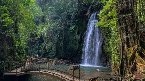 Melayang Cabina | Pondok D Angga Tampaksiring