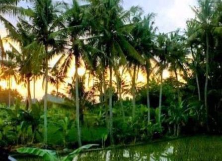 Sengkidu Casa | Pondok Diana Arta