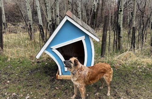 Pony Cabina | Pony, MT — DOGS & HORSES OK — On private creek