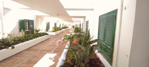 El Medano Apartamento | Pool Terrace