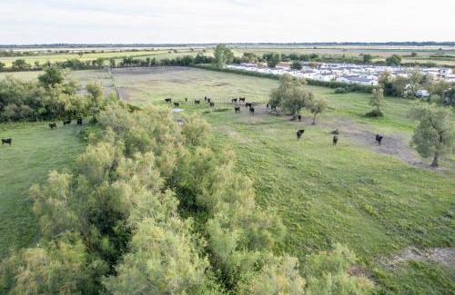 Saliers Casa | Pop Bohèm en Camargue maison atypique 135m2