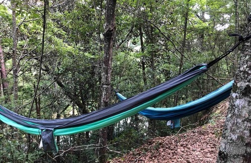 Jesup Casa | Pop up camp with Little Lulu!