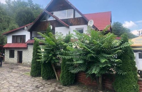 Cartisoara Casa | Popas Balea Rau