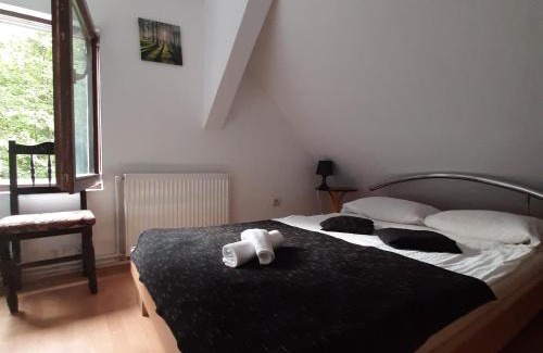 Cartisoara Casa | Popas Balea Rau