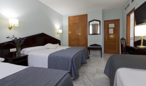 Distrito Central Hotel | Porcel Navas