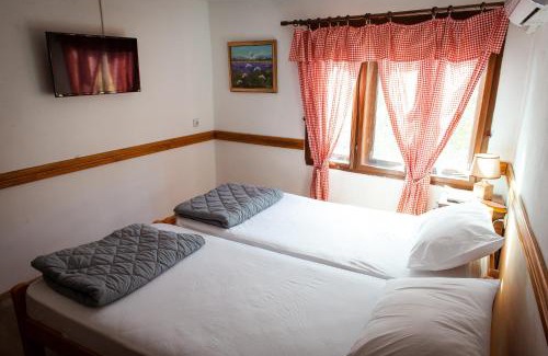 Stara Planina Apartamento | Porodična kuća Vitina Iža