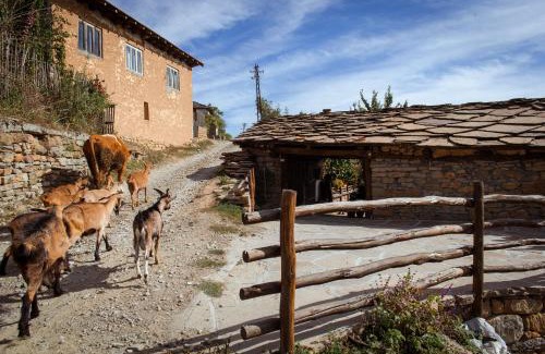 Stara Planina Apartamento | Porodična kuća Vitina Iža