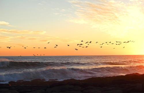 Port Nolloth Casa | Port Indigo Guest House
