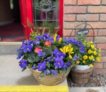Enniskillen Casa | Portora House Accommodation ROOM ONLY-ALL ROOMS EN-SUITE