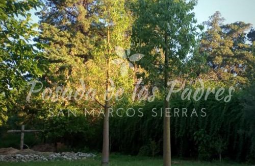 San Marcos Sierra Apartamento | Posada de los Padres - LOS OLIVOS