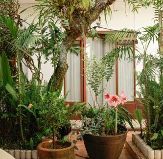 Huatusco Hotel | Posada Galeria Alberto Sedas