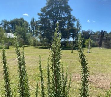 Tandil Casa | Posada La Misericordia