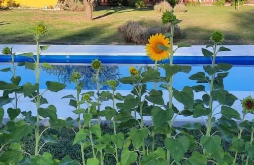 San Javier Hotel | Posada Villapancha B&B