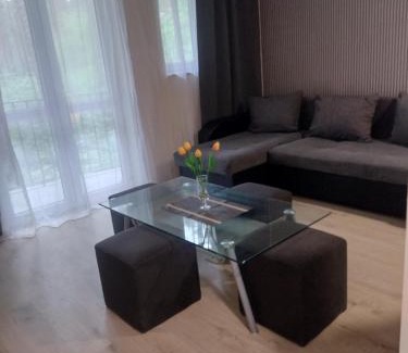 Sulejow Apartamento | Positive energy 2
