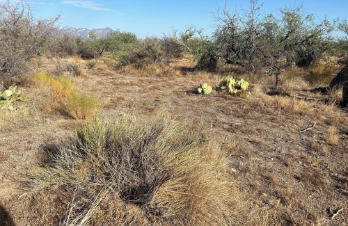 Diamond Bell Ranch Alquiler De RV | Post apocalyptic outpost as a campground in Tucson