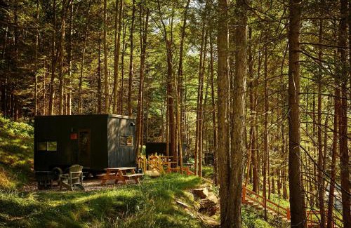 Seneca Otro | Postcard Cabins Lake Hartwell