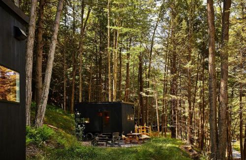 Pine River Otro | Postcard Cabins Wild Rose, Outdoor Collection by Marriott Bonvoy