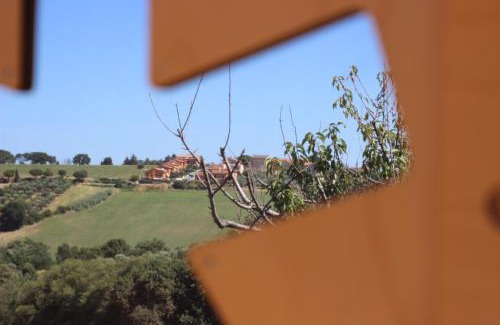 Potenza Picena Otro | Potenza Picena StarsBox Orto del Marinaio