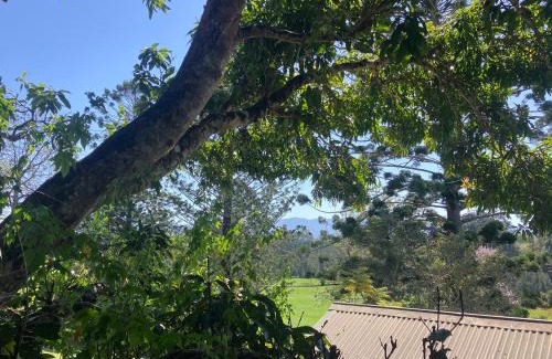 Bellingen Apartamento | Potters Cottage