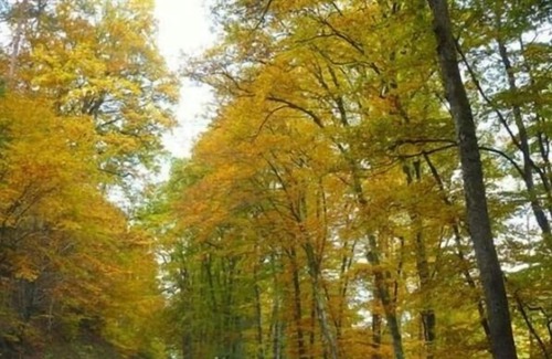 Champagnat-le-Jeune Casa | Pour un Séjour Reposant !