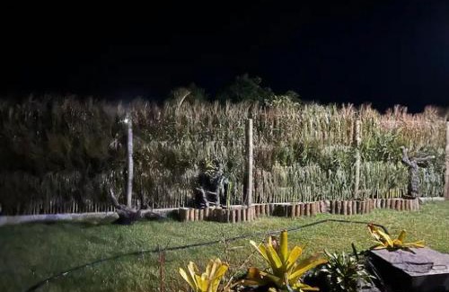 Porto Seguro Casa | Pousada coisa linda caraiva