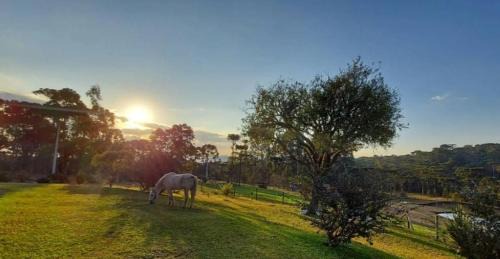 Bocaina do Sul Casa | Pousada Recanto Das Araucárias