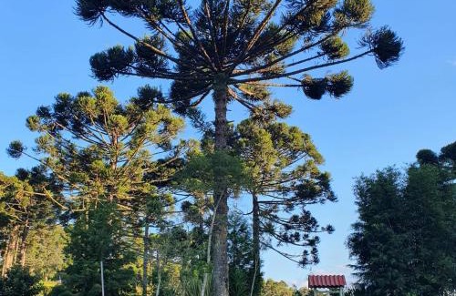 Bocaina do Sul Casa | Pousada Recanto Das Araucárias