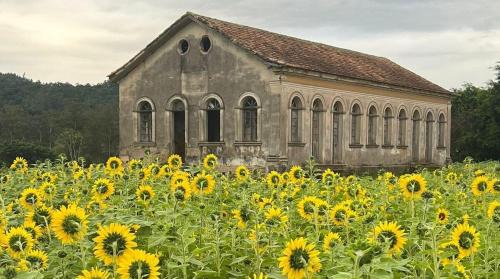 Pedras Grandes Casa | Pousada Refúgio da Serra
