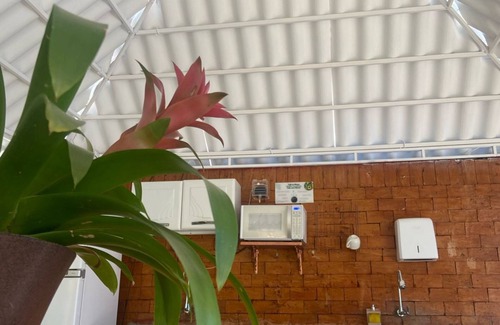 Bonito Hotel | Pousada São Jorge