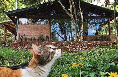 Monte Alegre do Sul Casa | Pousada Sítio Canto D`Água