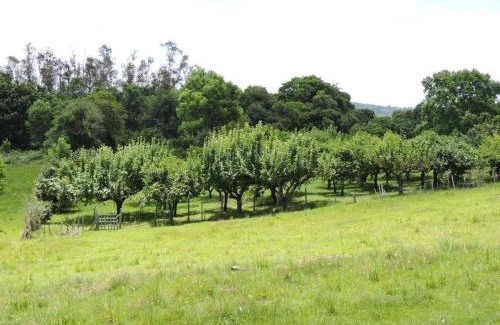 Caxias do Sul Casa | Pousada Sítio Paremi